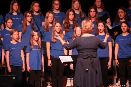 Slavnostni koncert ob 70. obletnici delovanja Glasbene šole Kamnik (18)